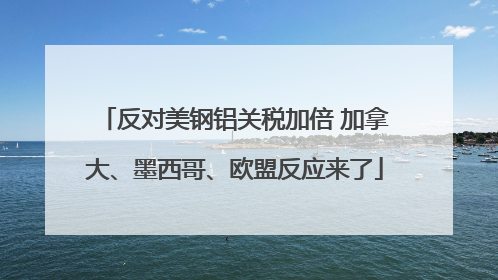 反对美钢铝关税加倍 加拿大、墨西哥、欧盟反应来了