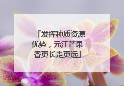 发挥种质资源优势，元江芒果香更长走更远