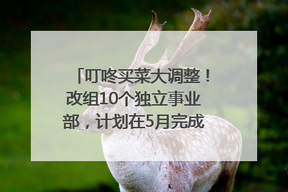 叮咚买菜大调整！改组10个独立事业部，计划在5月完成App端全面改版