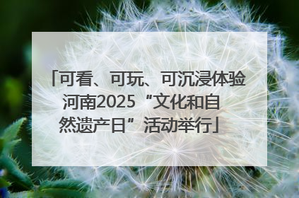 可看、可玩、可沉浸体验 河南2025“文化和自然遗产日”活动举行