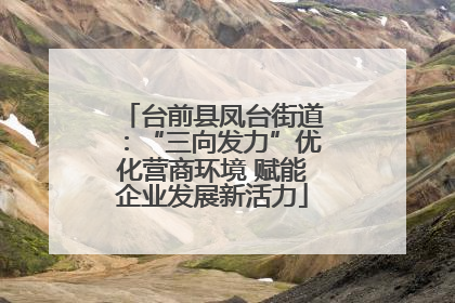 台前县凤台街道：“三向发力”优化营商环境 赋能企业发展新活力