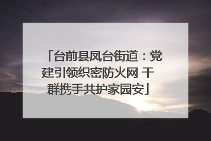 台前县凤台街道：党建引领织密防火网 干群携手共护家园安