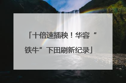 十倍速插秧！华容“铁牛”下田刷新纪录