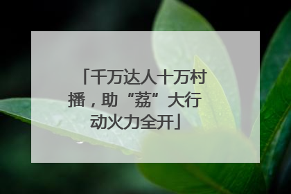 千万达人十万村播，助“荔”大行动火力全开