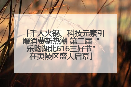 千人火锅、科技元素引爆消费新热潮 第三届“乐购湖北616三好节”在夷陵区盛大启幕
