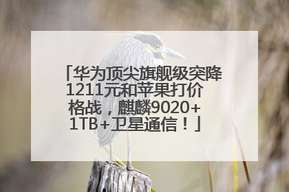 华为顶尖旗舰级突降1211元和苹果打价格战，麒麟9020+1TB+卫星通信！