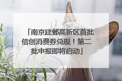 南京建邺高新区首批信创消费券兑现！第二批申报即将启动