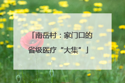 南岳村：家门口的省级医疗“大集”