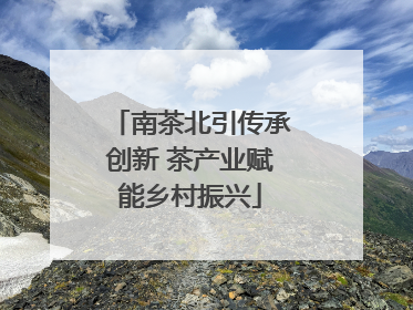 南茶北引传承创新 茶产业赋能乡村振兴