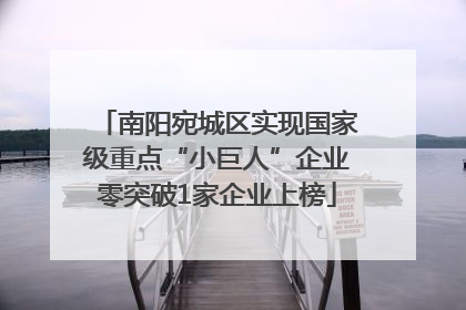 南阳宛城区实现国家级重点“小巨人”企业零突破1家企业上榜