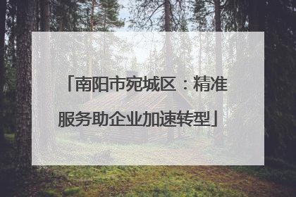 南阳市宛城区：精准服务助企业加速转型