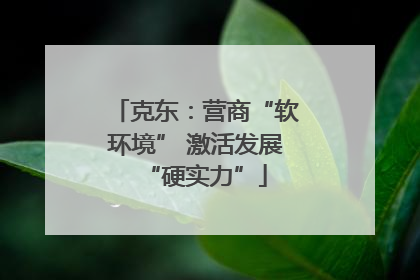 克东：营商“软环境” 激活发展“硬实力”