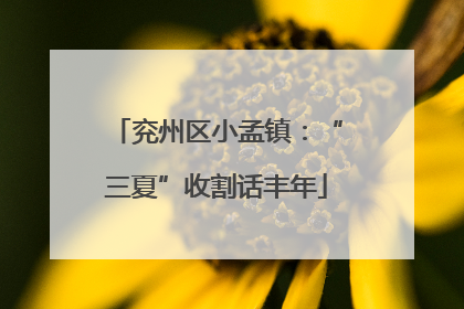 兖州区小孟镇：“三夏”收割话丰年