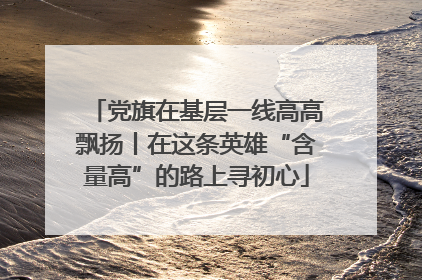 党旗在基层一线高高飘扬丨在这条英雄“含量高”的路上寻初心