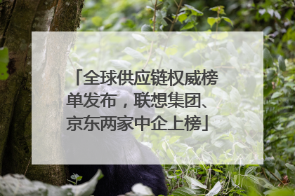 全球供应链权威榜单发布，联想集团、京东两家中企上榜