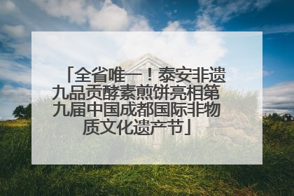全省唯一！泰安非遗九品贡酵素煎饼亮相第九届中国成都国际非物质文化遗产节