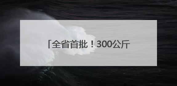 全省首批！300公斤出口鲜杨梅飞赴新加坡