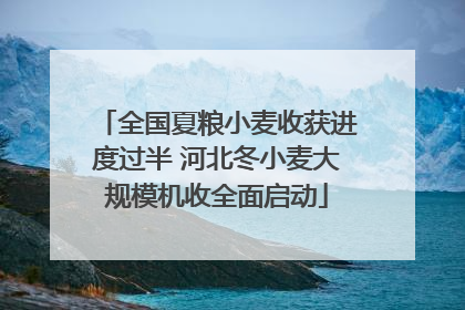 全国夏粮小麦收获进度过半 河北冬小麦大规模机收全面启动