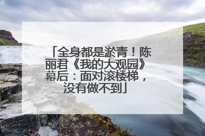 全身都是淤青！陈丽君《我的大观园》幕后：面对滚楼梯，没有做不到
