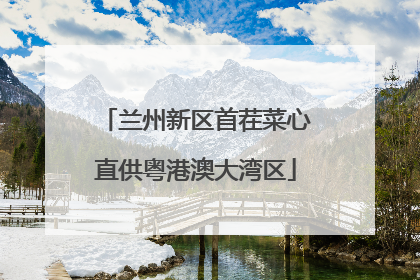 兰州新区首茬菜心直供粤港澳大湾区