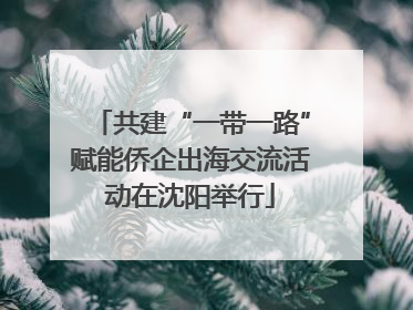 共建“一带一路”赋能侨企出海交流活动在沈阳举行
