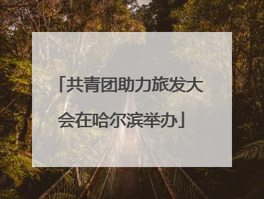 共青团助力旅发大会在哈尔滨举办