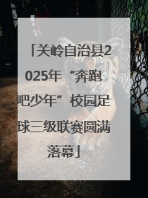 关岭自治县2025年“奔跑吧少年”校园足球三级联赛圆满落幕