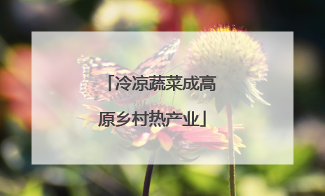 冷凉蔬菜成高原乡村热产业