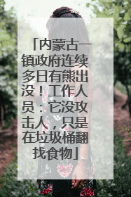 内蒙古一镇政府连续多日有熊出没！工作人员：它没攻击人，只是在垃圾桶翻找食物
