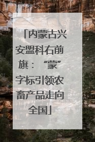 内蒙古兴安盟科右前旗：“蒙”字标引领农畜产品走向全国