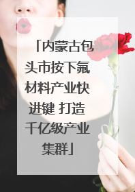 内蒙古包头市按下氟材料产业快进键 打造千亿级产业集群
