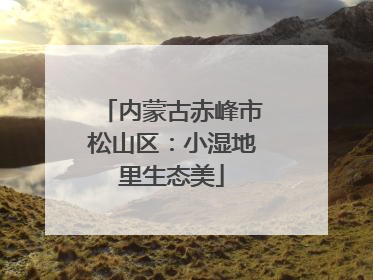 内蒙古赤峰市松山区：小湿地里生态美