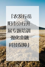 农发行岳阳市分行开展专题培训 强化金融科技保障