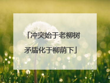 冲突始于老柳树 矛盾化于柳荫下