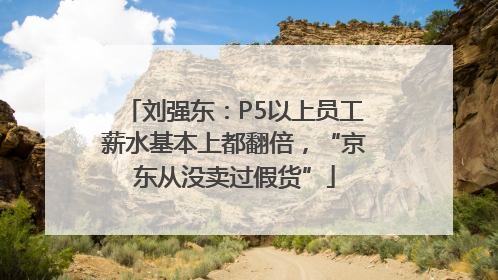 刘强东：P5以上员工薪水基本上都翻倍，“京东从没卖过假货”