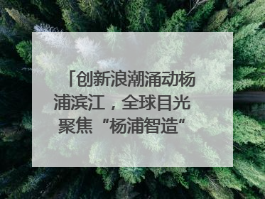 创新浪潮涌动杨浦滨江，全球目光聚焦“杨浦智造”｜相约复兴岛