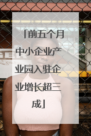 前五个月中小企业产业园入驻企业增长超三成