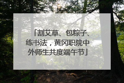 割艾草、包粽子、练书法，黄冈职院中外师生共度端午节