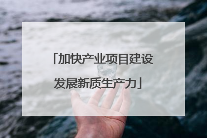 加快产业项目建设 发展新质生产力