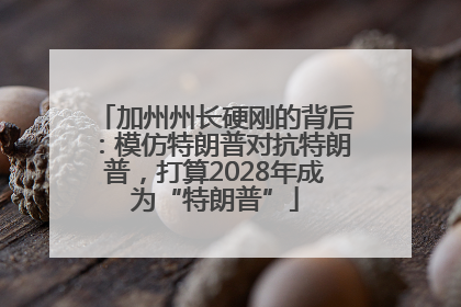 加州州长硬刚的背后：模仿特朗普对抗特朗普，打算2028年成为“特朗普”