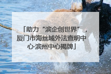 助力“滨企创世界”，厦门市海丝域外法查明中心·滨州中心揭牌