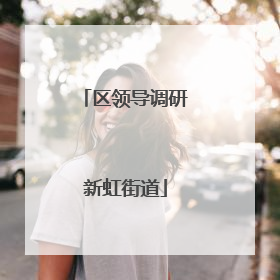 区领导调研新虹街道