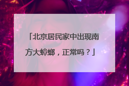 北京居民家中出现南方大蟑螂，正常吗？