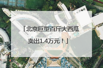北京巨型百斤大西瓜卖出1.4万元！