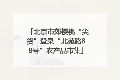 北京市郊樱桃“尖货”登录“北苑路88号”农产品市集