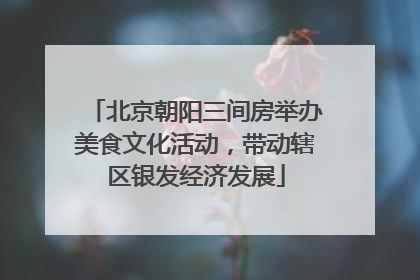 北京朝阳三间房举办美食文化活动，带动辖区银发经济发展