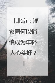北京：潘家园何以悄悄成为年轻人心头好？