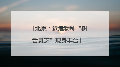 北京：近危物种“树舌灵芝”现身丰台