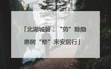 北湖城管：“剪”除隐患树“修”来安居行