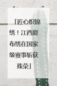 匠心织锦绣！江西夏布绣在国家级赛事斩获殊荣